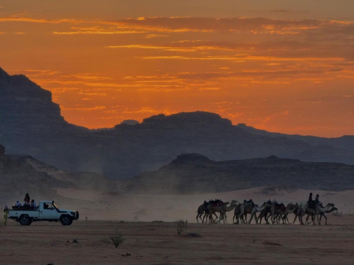 Desert Knights Camp Ram Vadisi Dış mekan fotoğraf