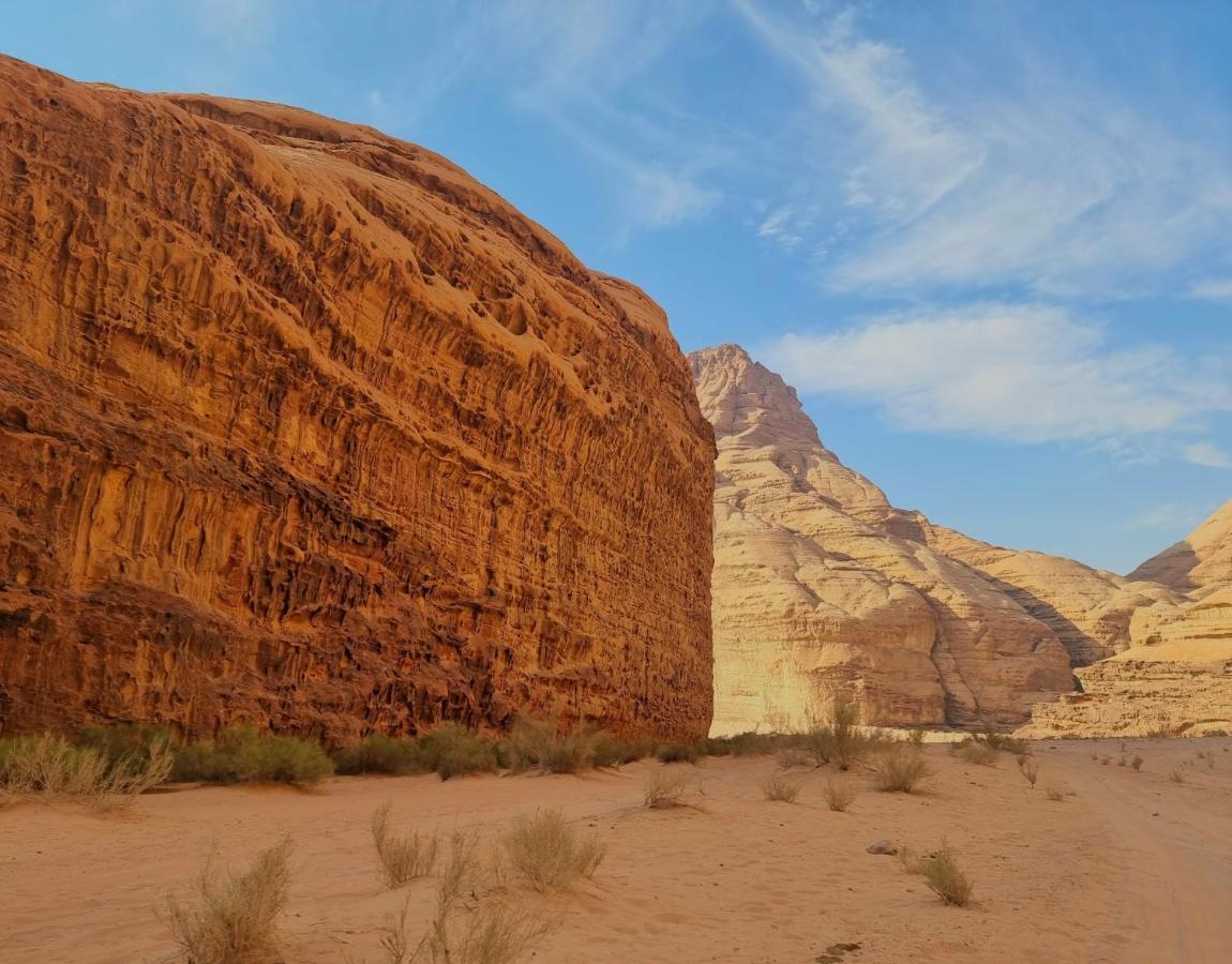 Desert Knights Camp Ram Vadisi Dış mekan fotoğraf