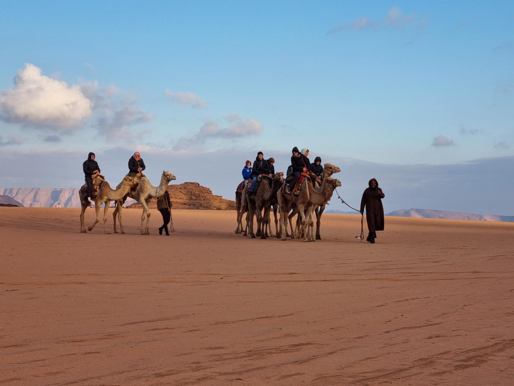 Desert Knights Camp Ram Vadisi Dış mekan fotoğraf